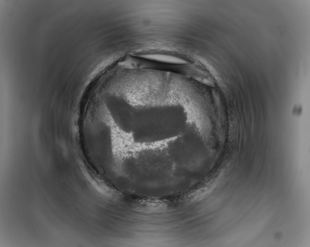 X0000100970443200807151355