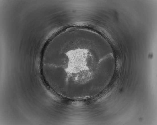 X0000100970444200807151355