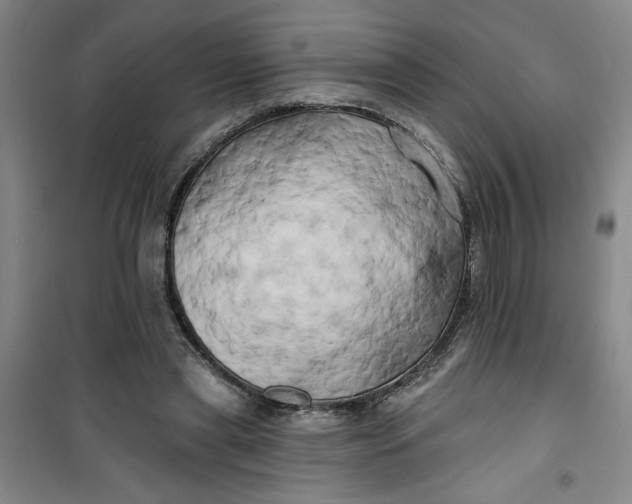 X0000100970445200807151355