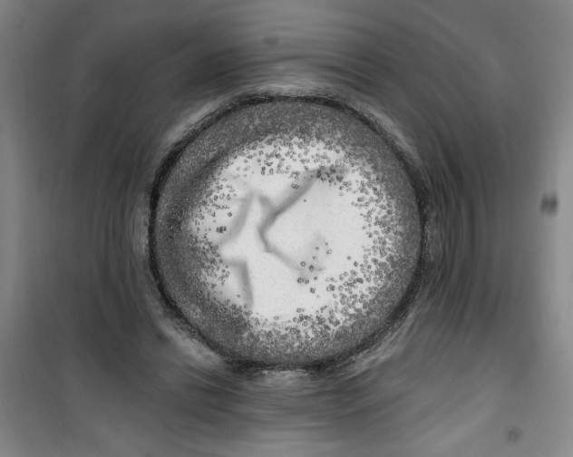 X0000100970446200807151355