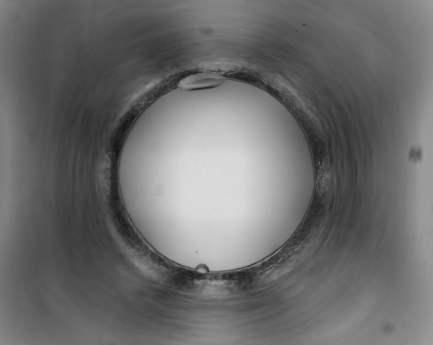 X0000100970448200807151355