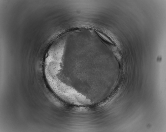 X0000100970449200807151355