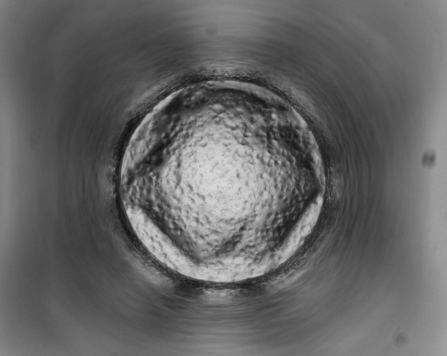X0000100970450200807151355