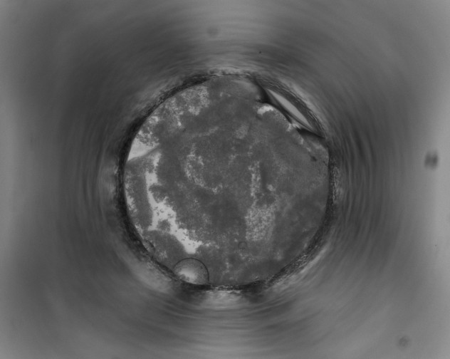 X0000100970451200807151355