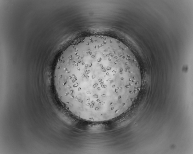 X0000100970452200807151355