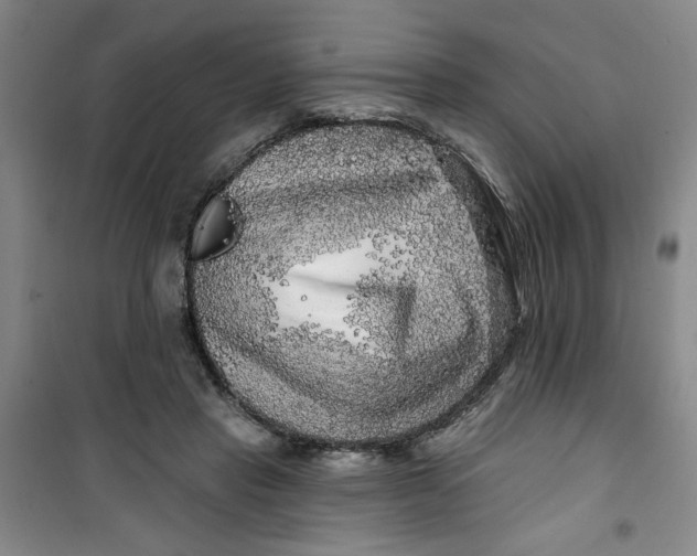 X0000100970453200807151355