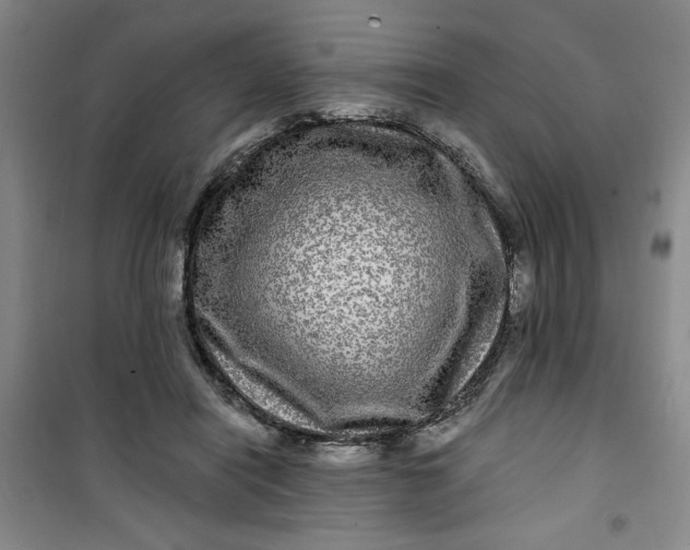 X0000100970454200807151355