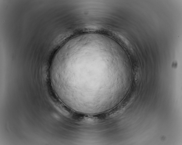 X0000100970455200807151355