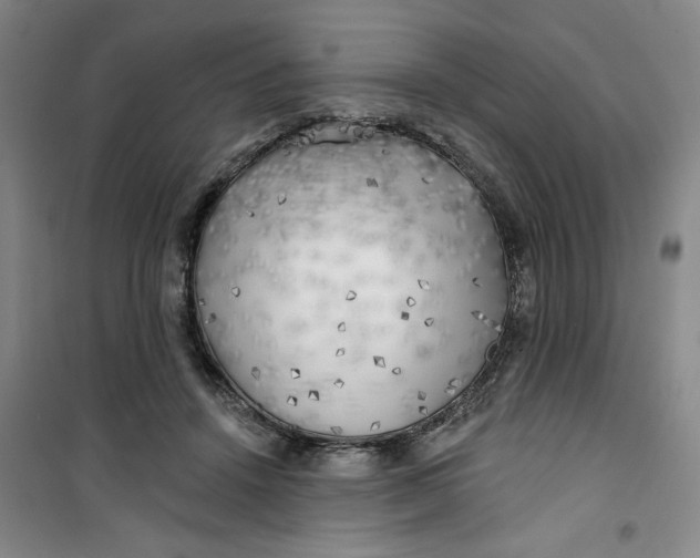 X0000100970456200807151355