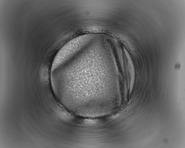 X0000100970457200807151355