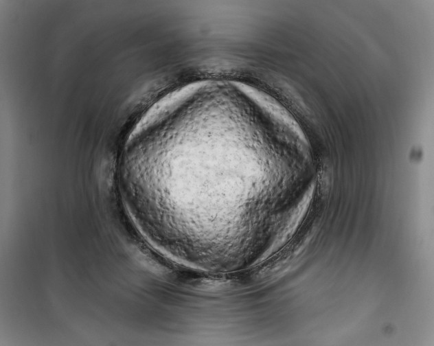 X0000100970458200807151355