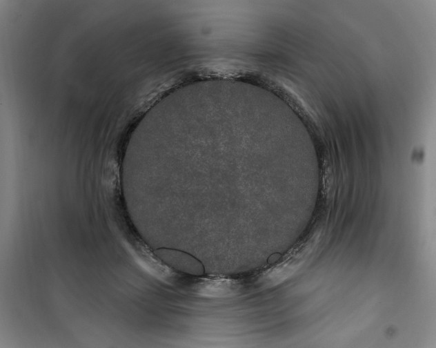 X0000100970459200807151355