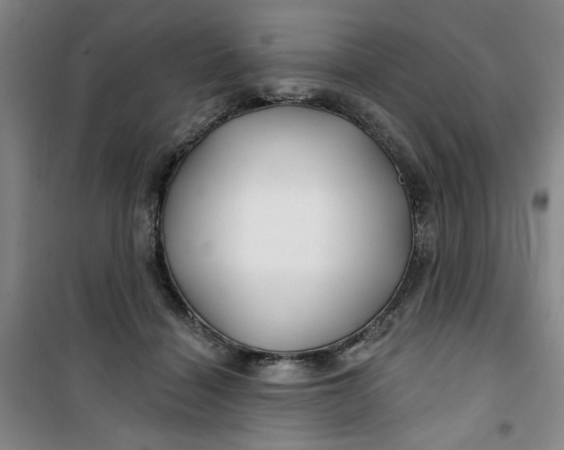 X0000100970460200807151355
