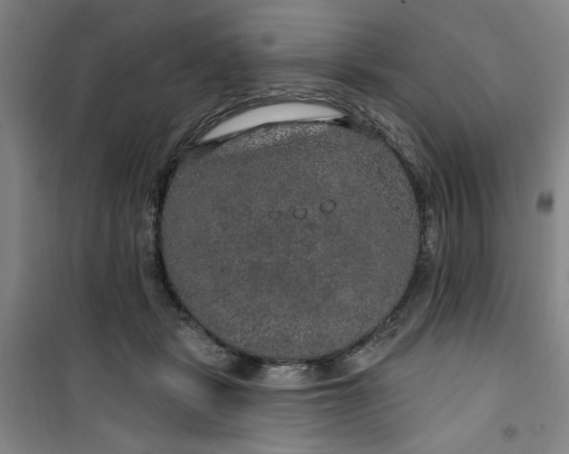 X0000100970461200807151355