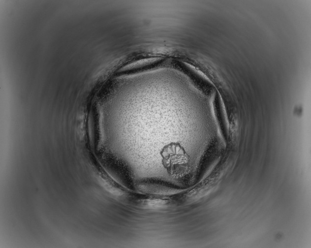 X0000100970462200807151356