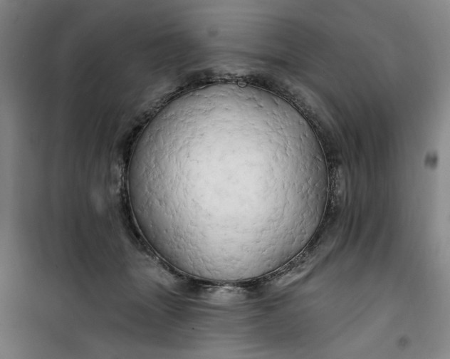 X0000100970463200807151356