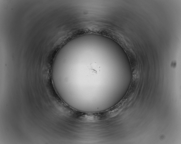 X0000100970464200807151356