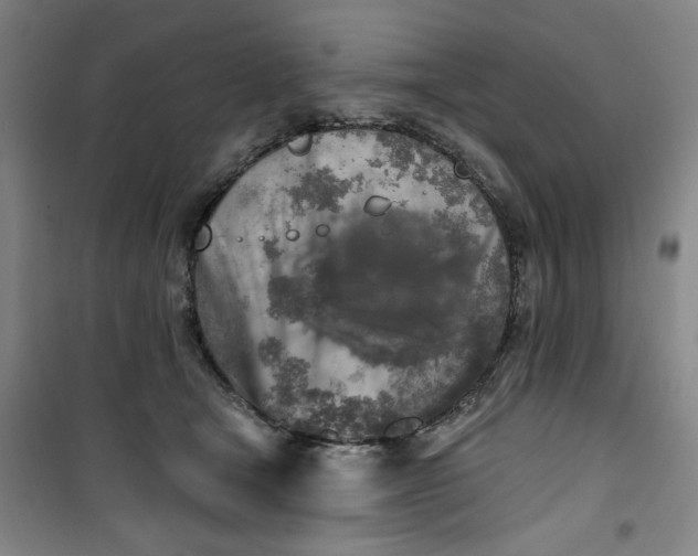 X0000100970465200807151356