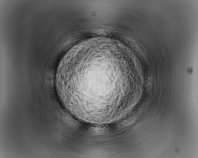 X0000100970466200807151356