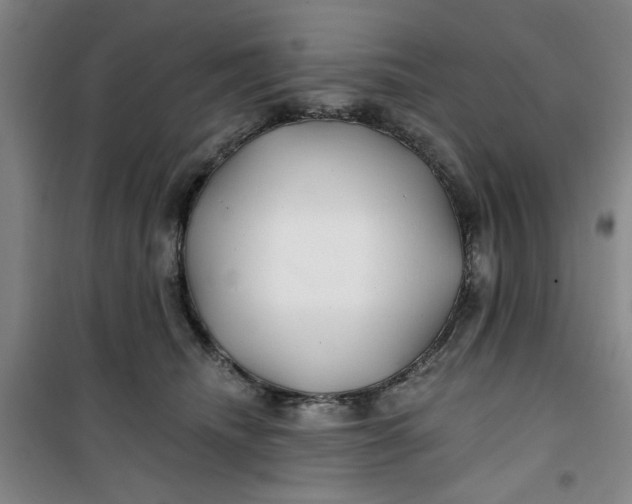 X0000100970468200807151356