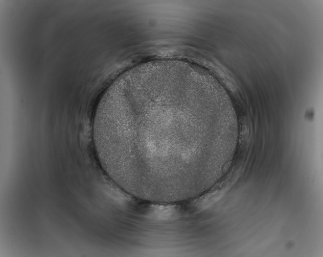 X0000100970469200807151356