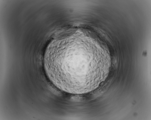 X0000100970470200807151356