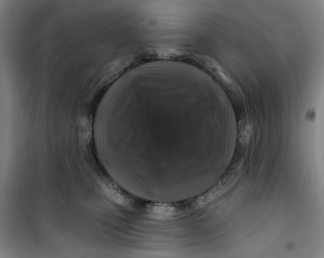X0000100970471200807151356