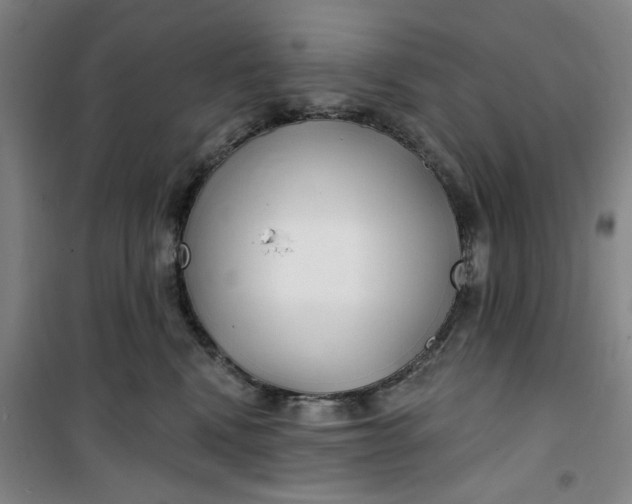 X0000100970472200807151356