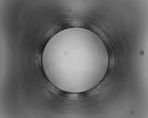 X0000100970473200807151356