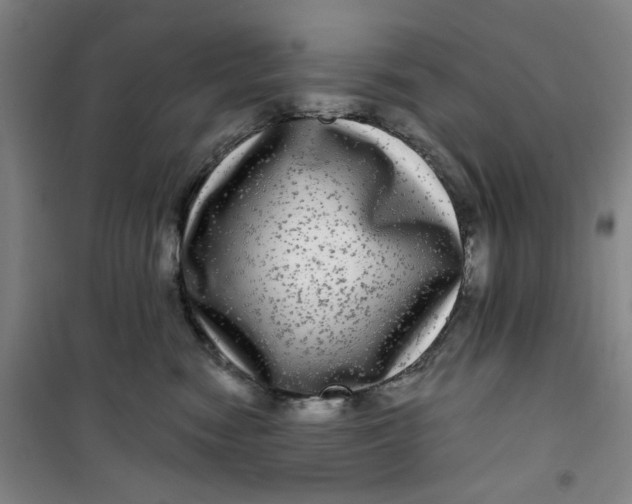 X0000100970474200807151356