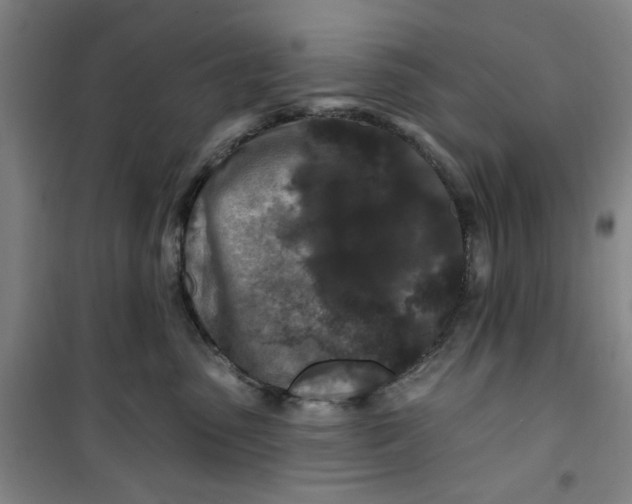 X0000100970475200807151356