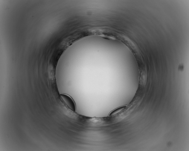 X0000100970477200807151356