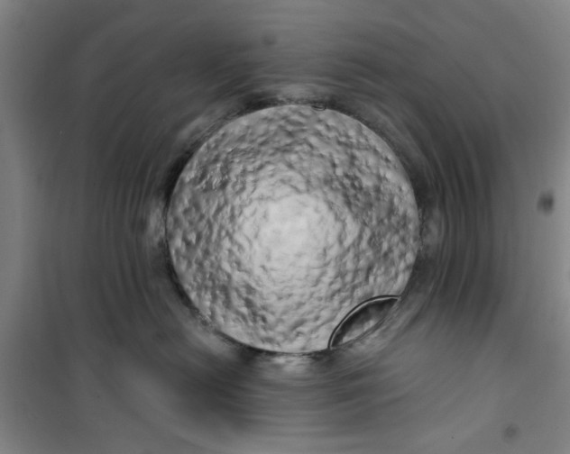 X0000100970478200807151356