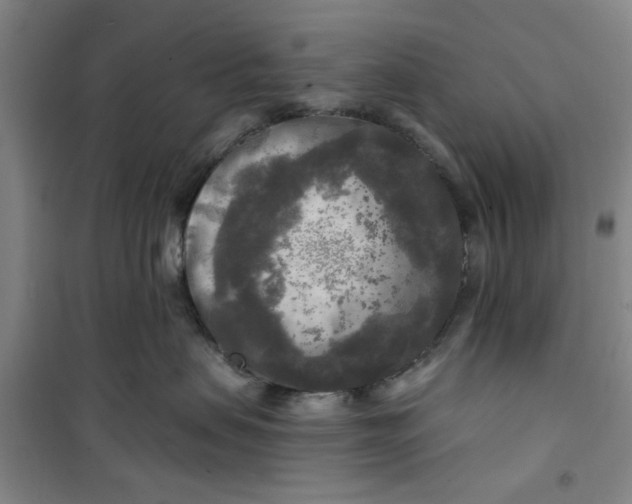 X0000100970479200807151356