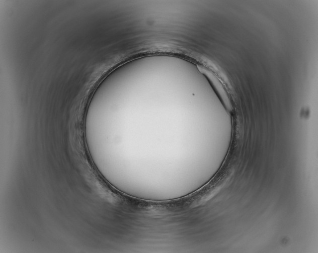 X0000100970481200807151355
