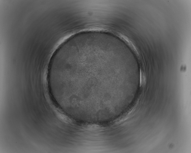 X0000100970483200807151355