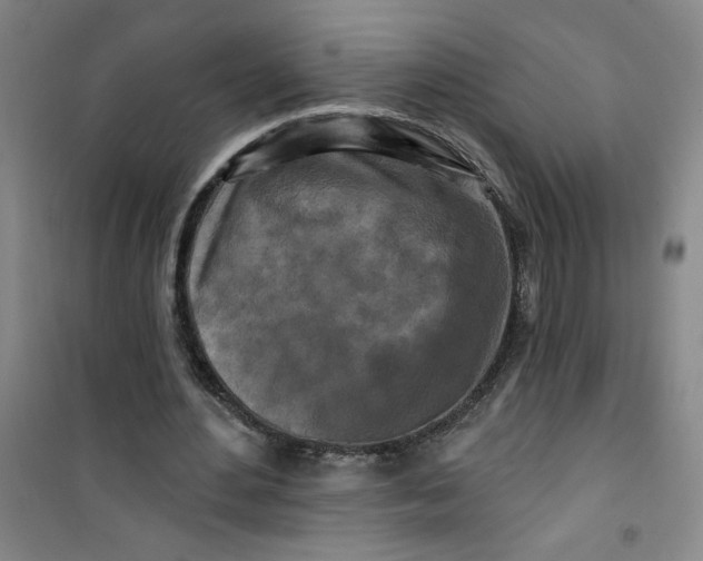 X0000100970484200807151355