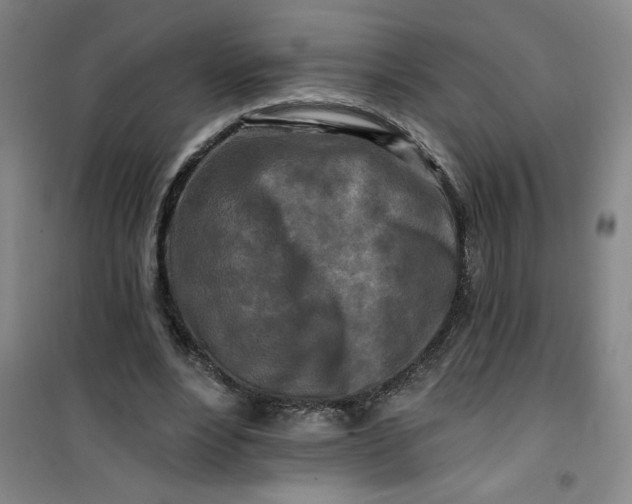 X0000100970488200807151355
