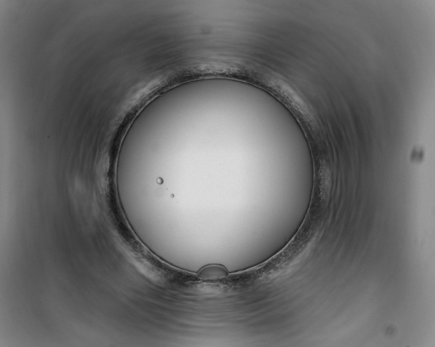 X0000100970490200807151355