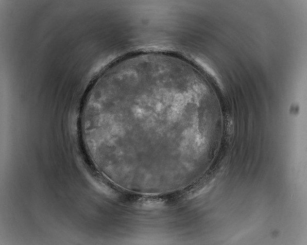 X0000100970491200807151355