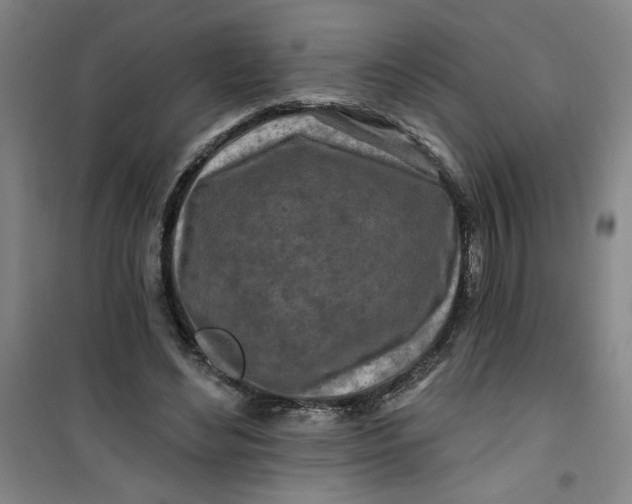 X0000100970492200807151355