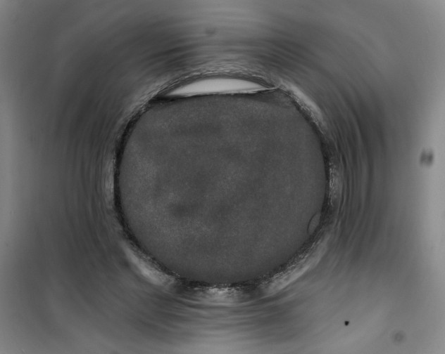 X0000100970493200807151355