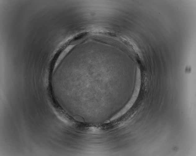 X0000100970496200807151355