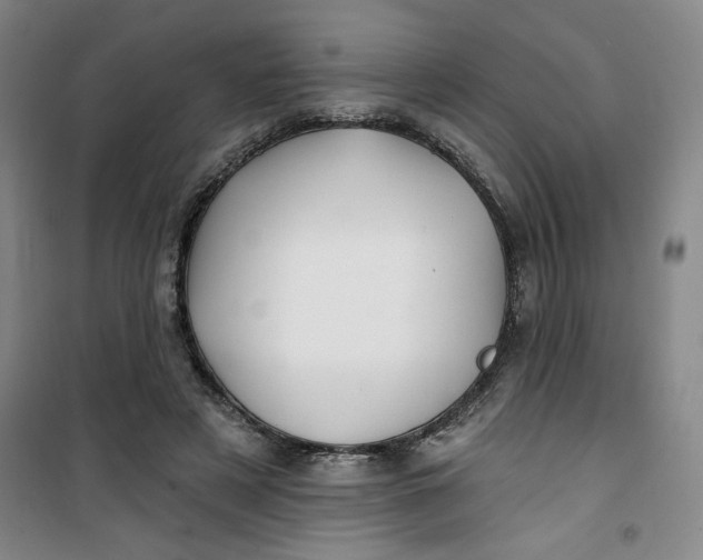 X0000100970497200807151355