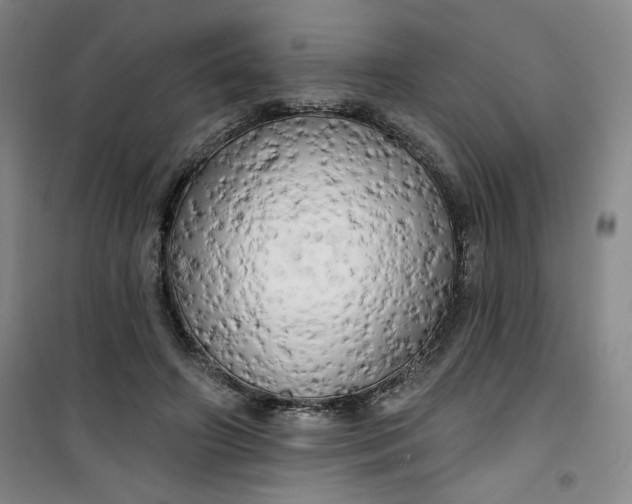 X0000100970498200807151355