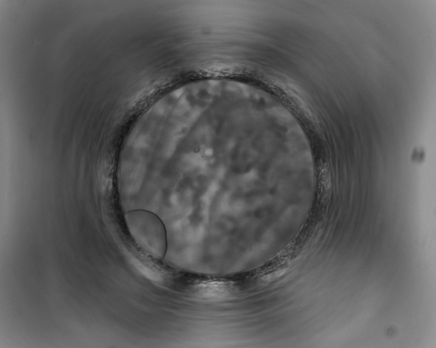 X0000100970499200807151355