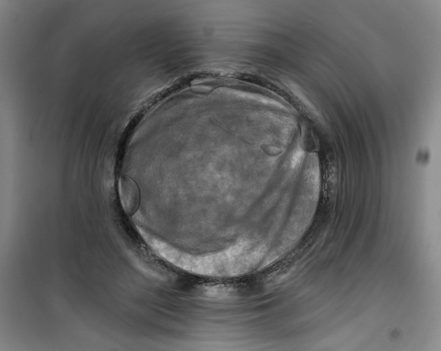 X0000100970500200807151355