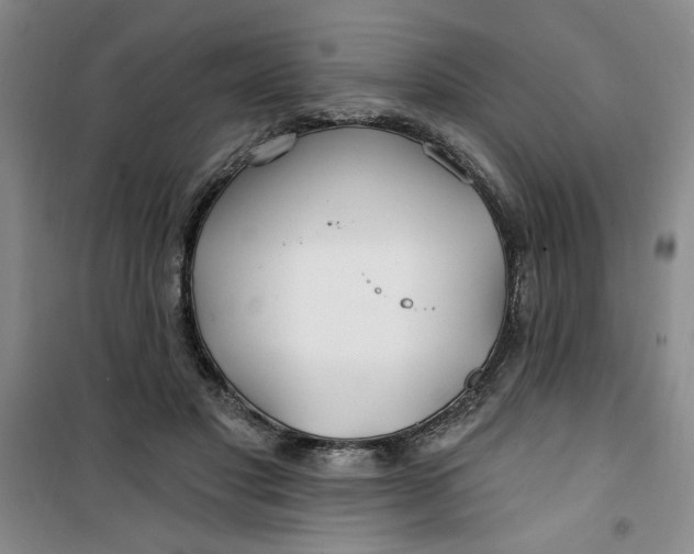 X0000100970501200807151355
