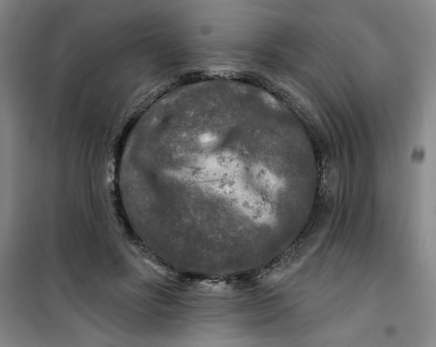 X0000100970502200807151355