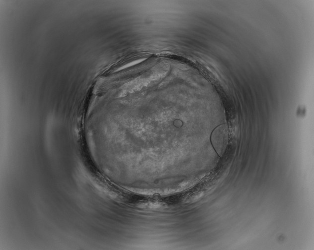 X0000100970503200807151355